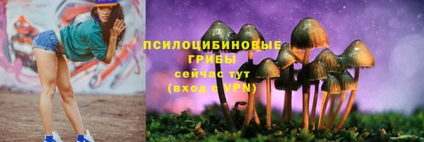 марки lsd Алексеевка