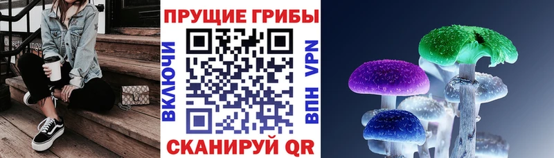 Псилоцибиновые грибы Cubensis  мориарти Telegram  Чаплыгин 